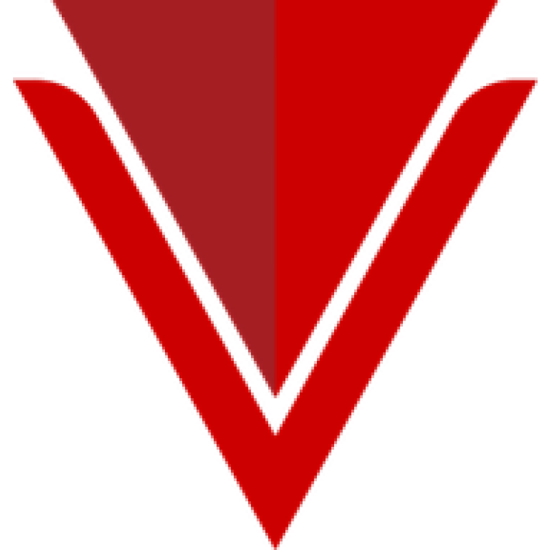 Virginvoyages logo