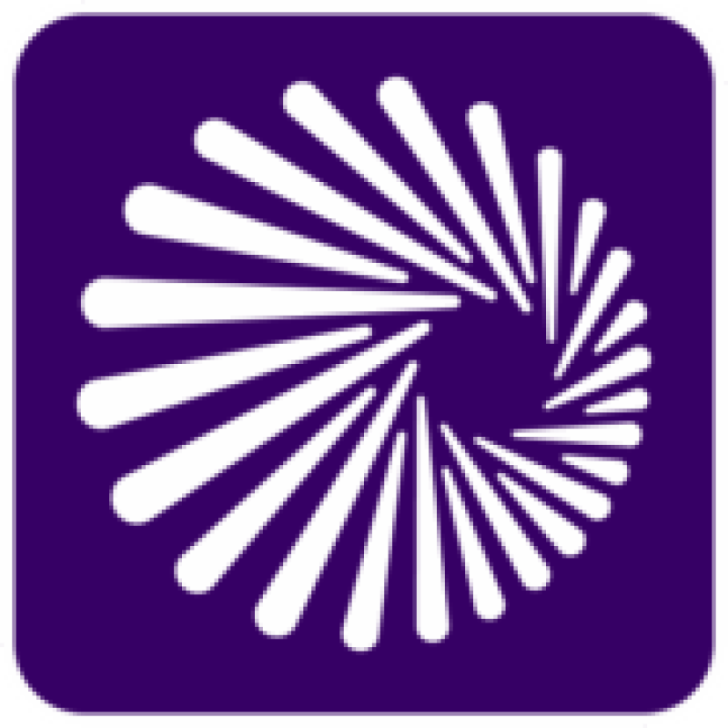 Copperleaf logo