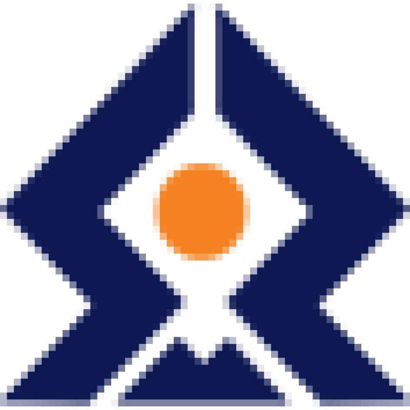 SRM Technologies logo