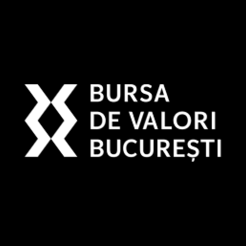 BVB logo
