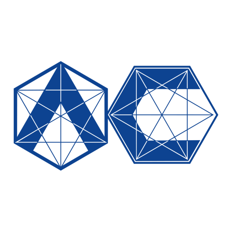 Ledoviy Servis logo