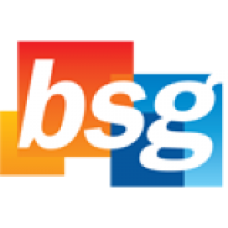 BSG logo
