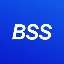 Banks Soft Systems logo