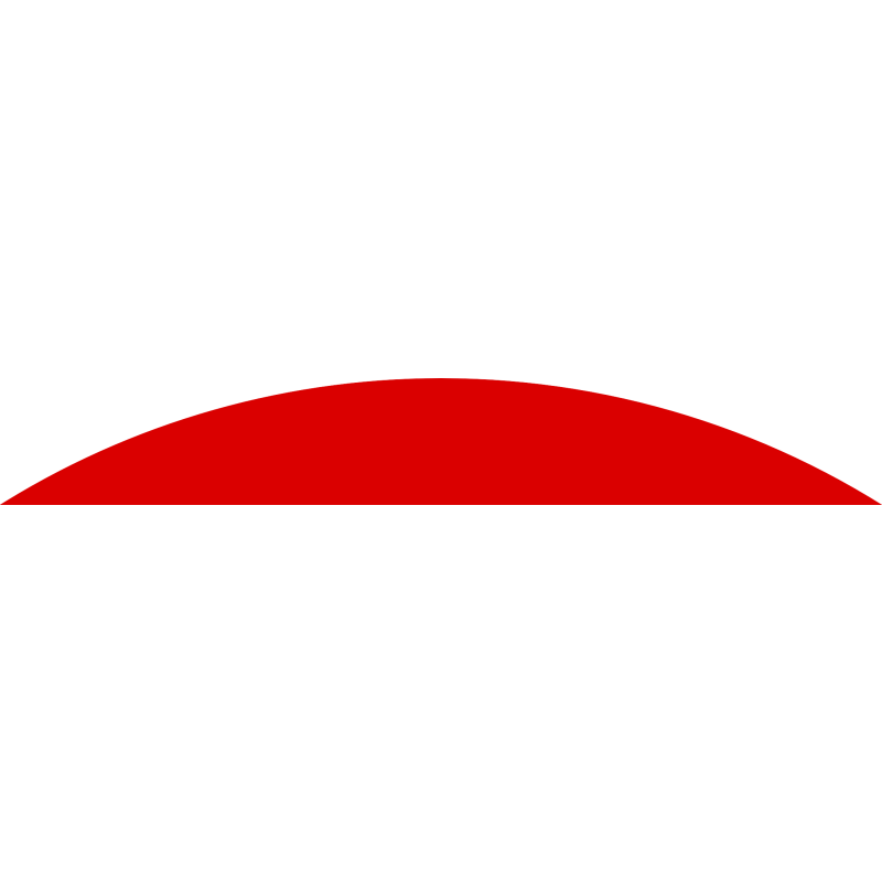 APOLLO Insurance logo