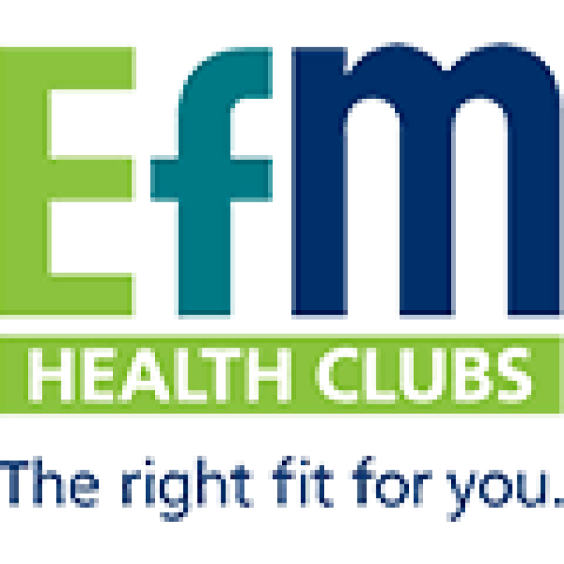 efm Logistics logo