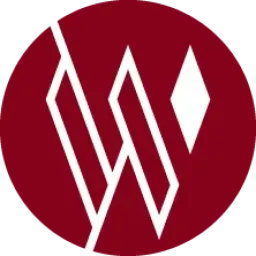 Wisesight logo