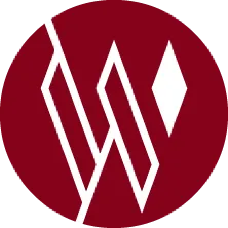 Wisesight logo