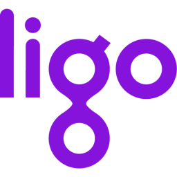 Ligo logo