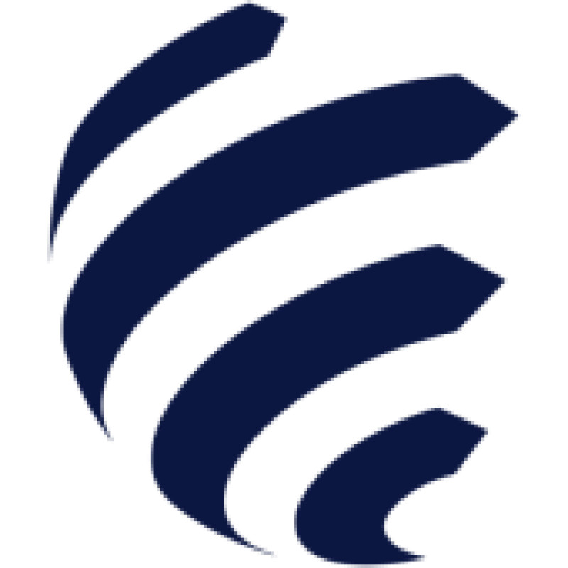 Stefanini logo
