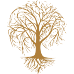 AVI logo