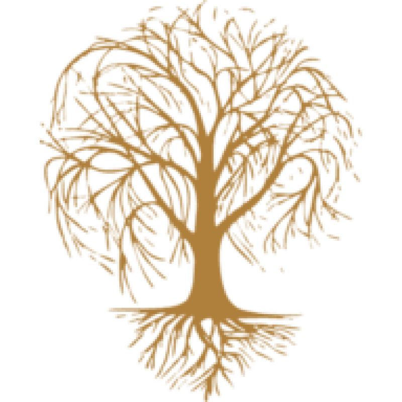 AVI logo