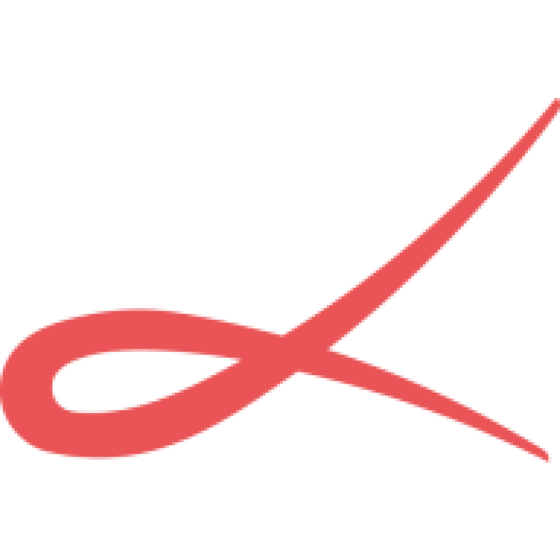 Dinamize logo