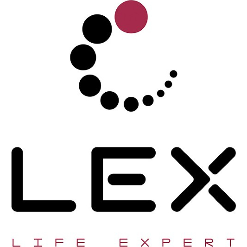 LEX Group logo