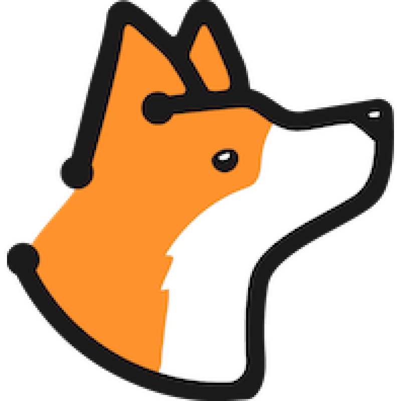 Corgea logo