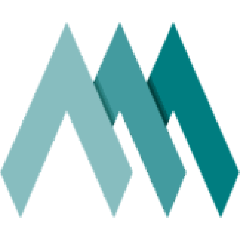 Multiscale Technologies logo