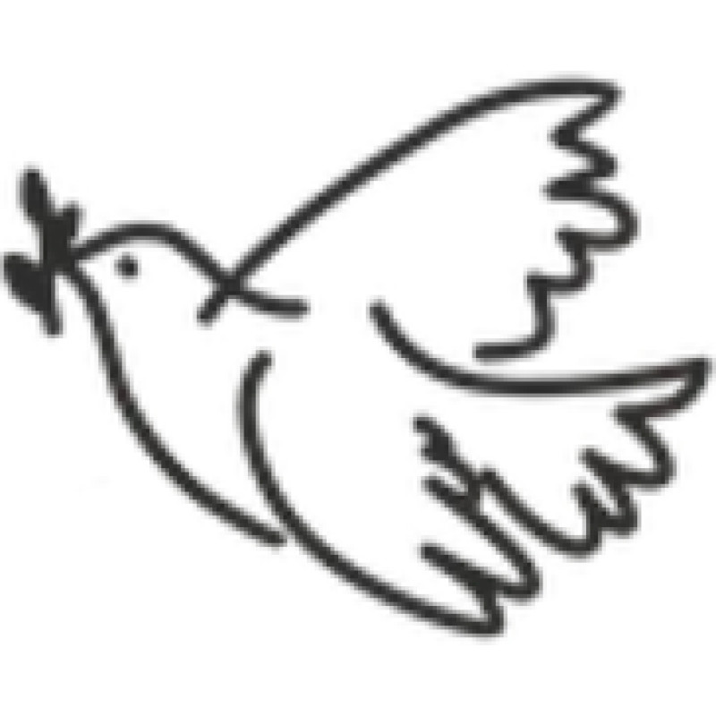Cvetimira logo