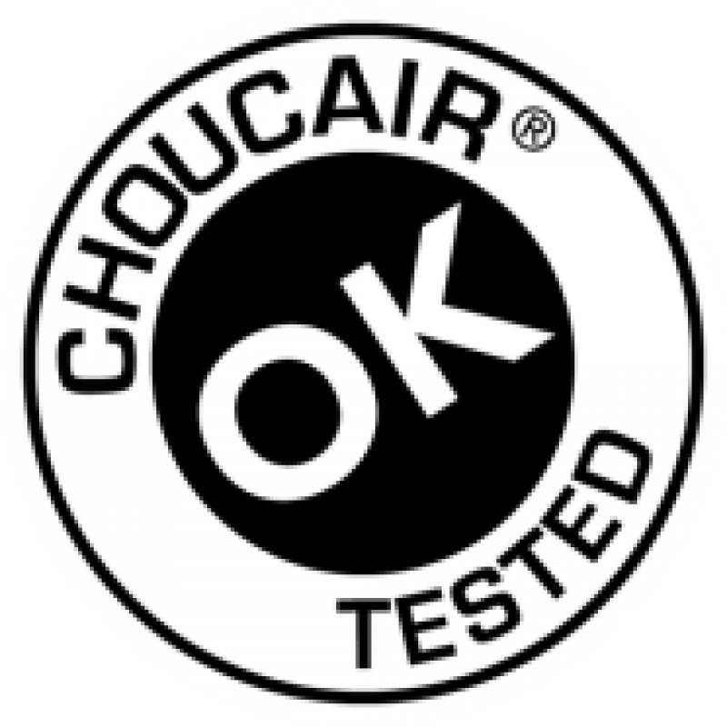 Choucair Testing logo