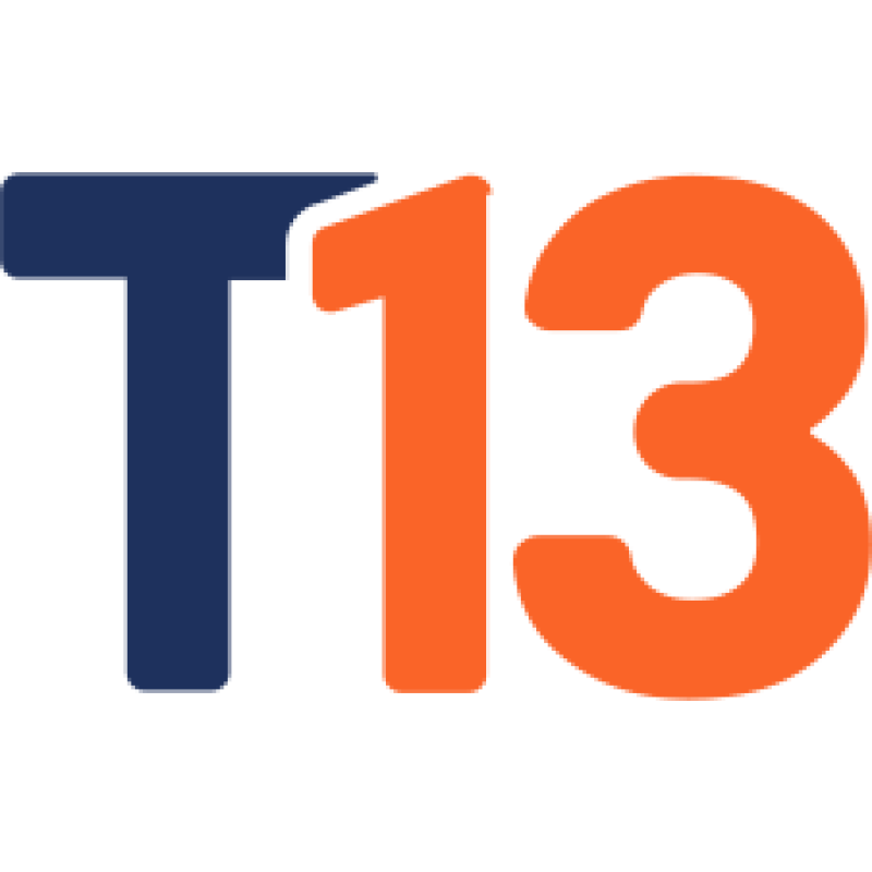 T13
