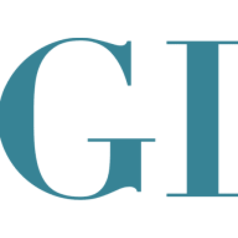 GameInfinitus logo
