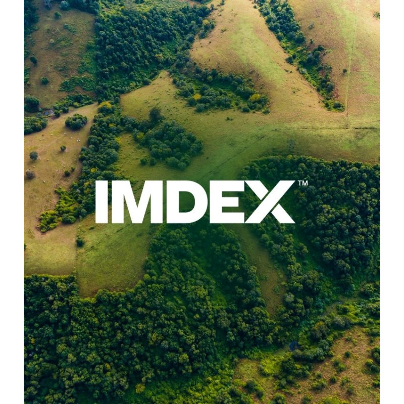 IMDEX logo
