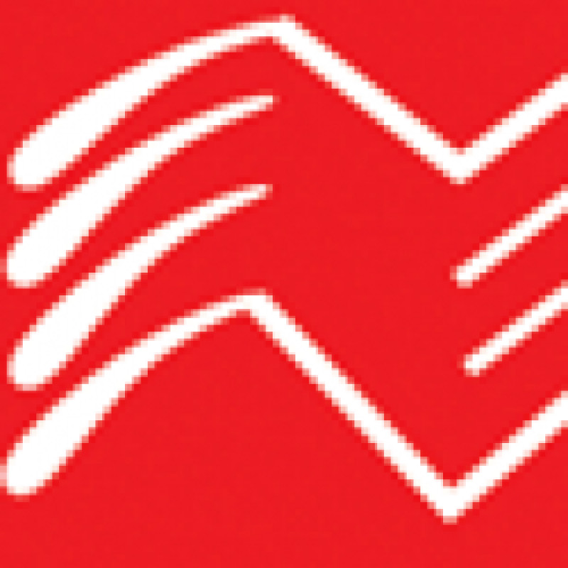 Polynomsp logo