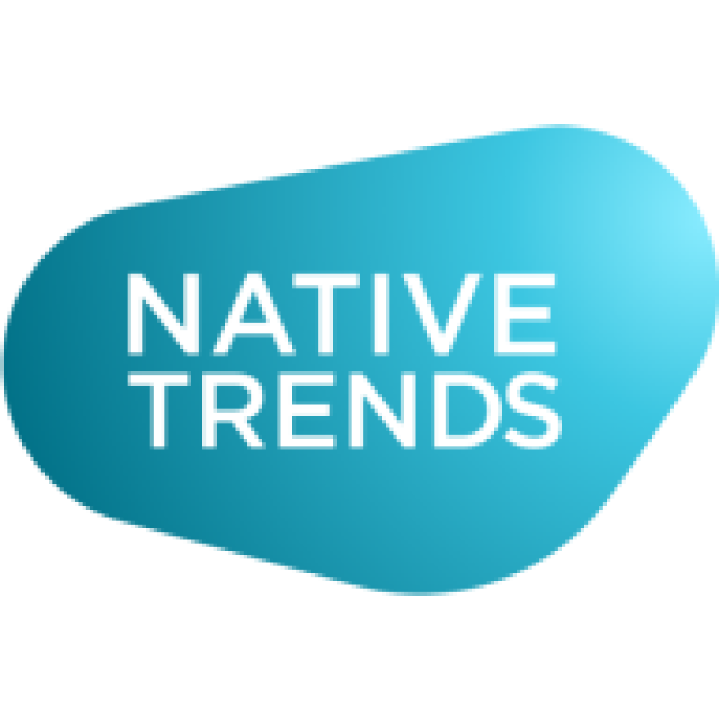 NATIVE TRENDS logo