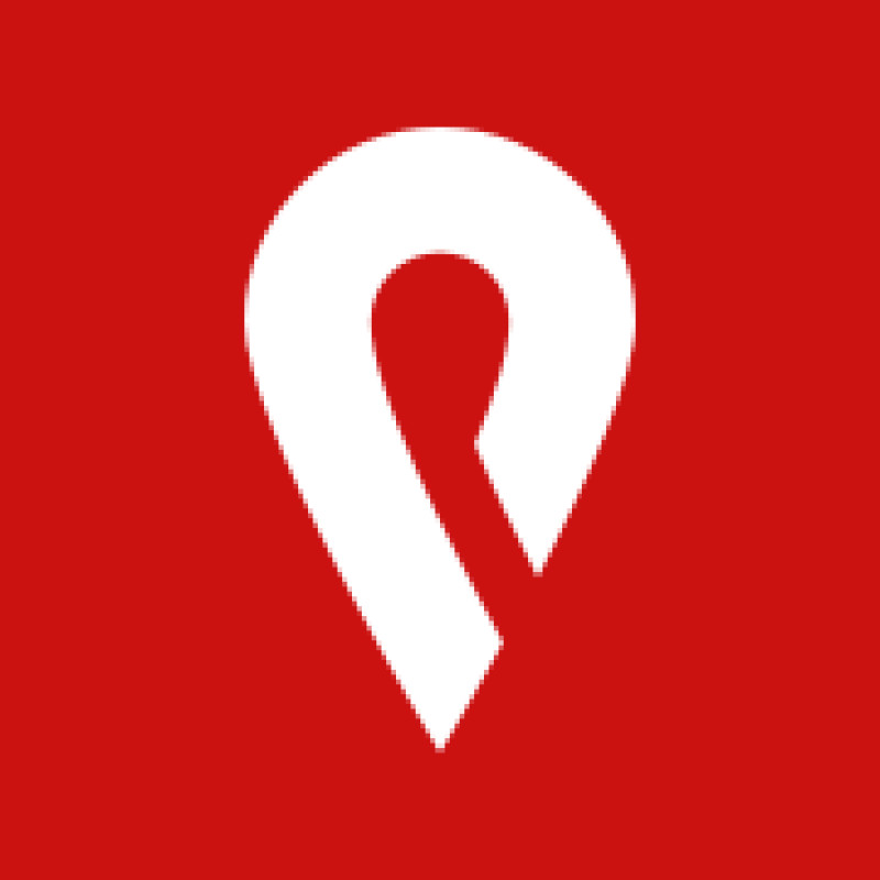 Pin Payments logo
