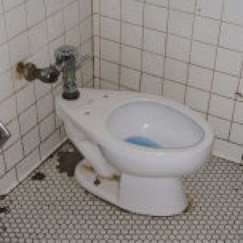 Toilets of the World logo
