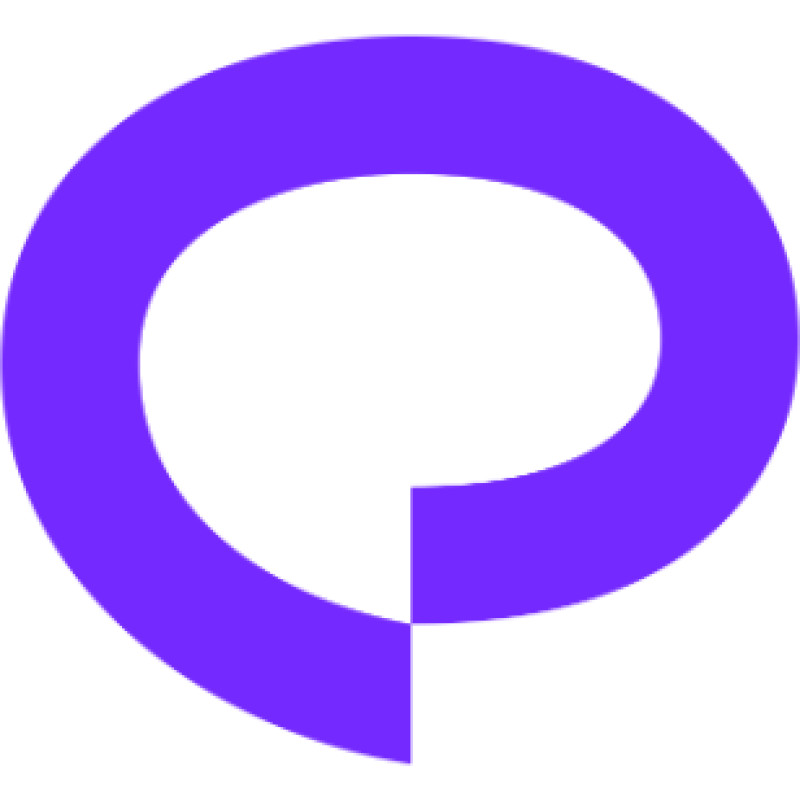 Praktika logo