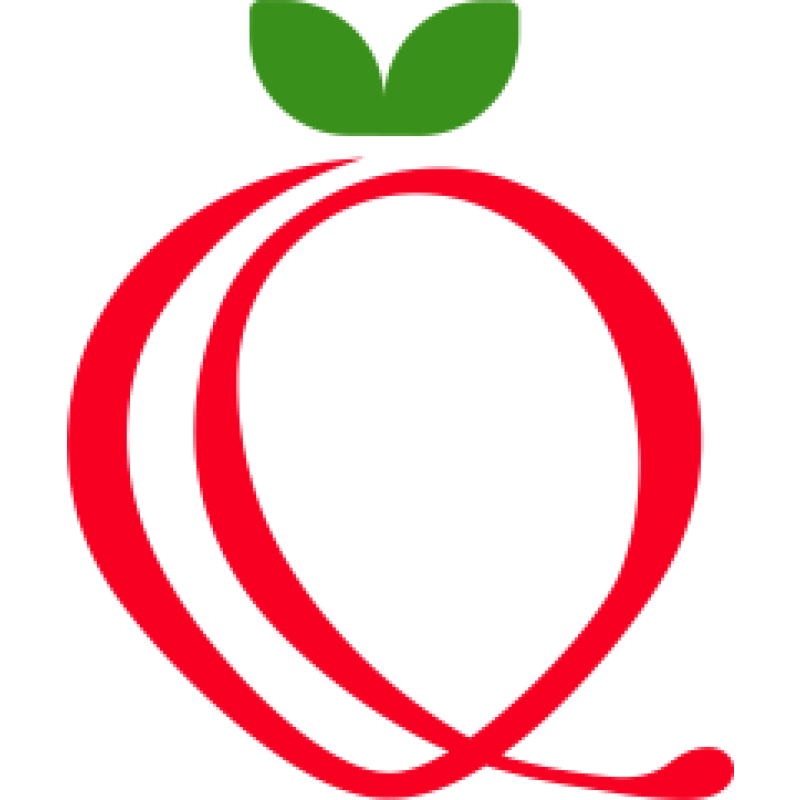 Qulpynai logo