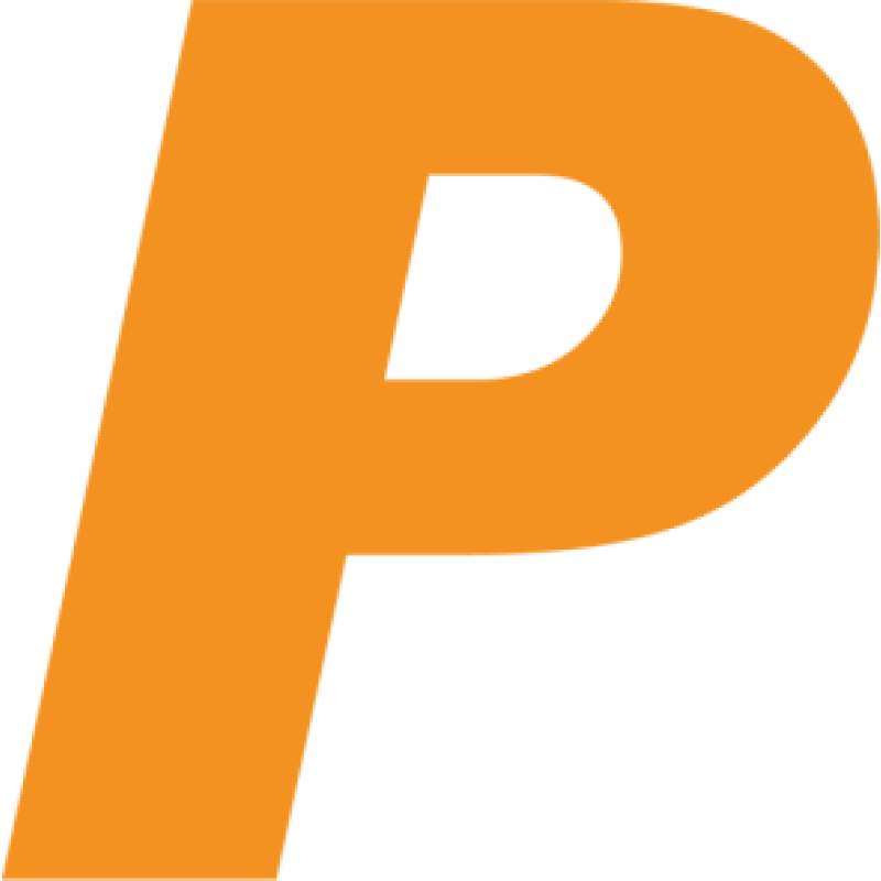 Phison Electronics logo