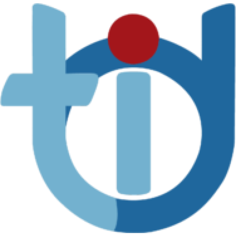 Diario TI logo