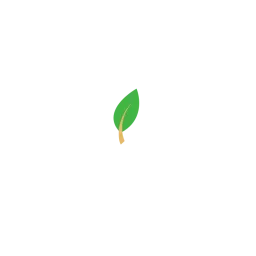 Damy Floor logo