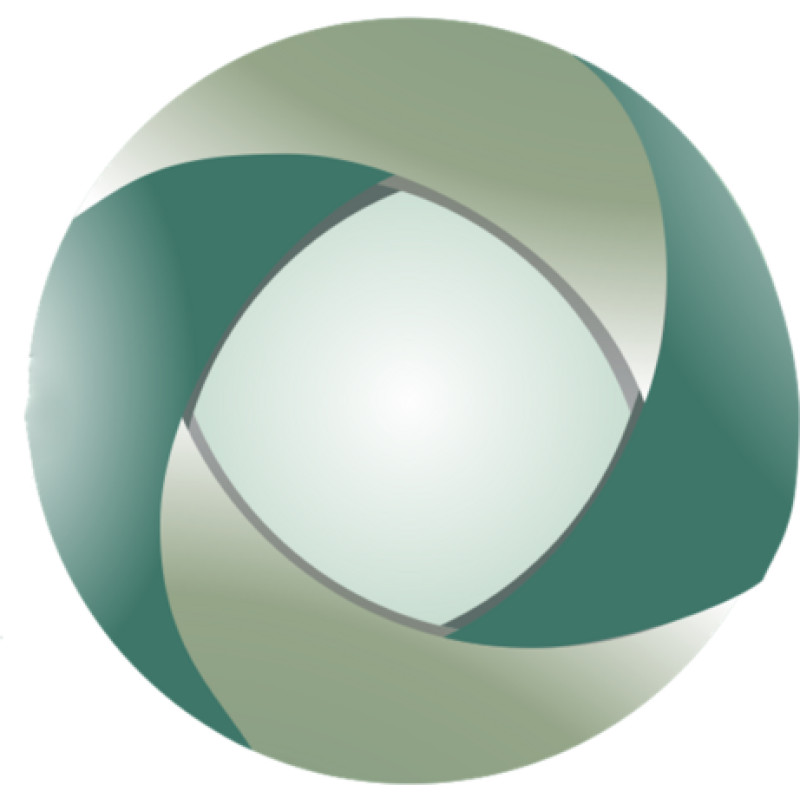 Labi Exames logo