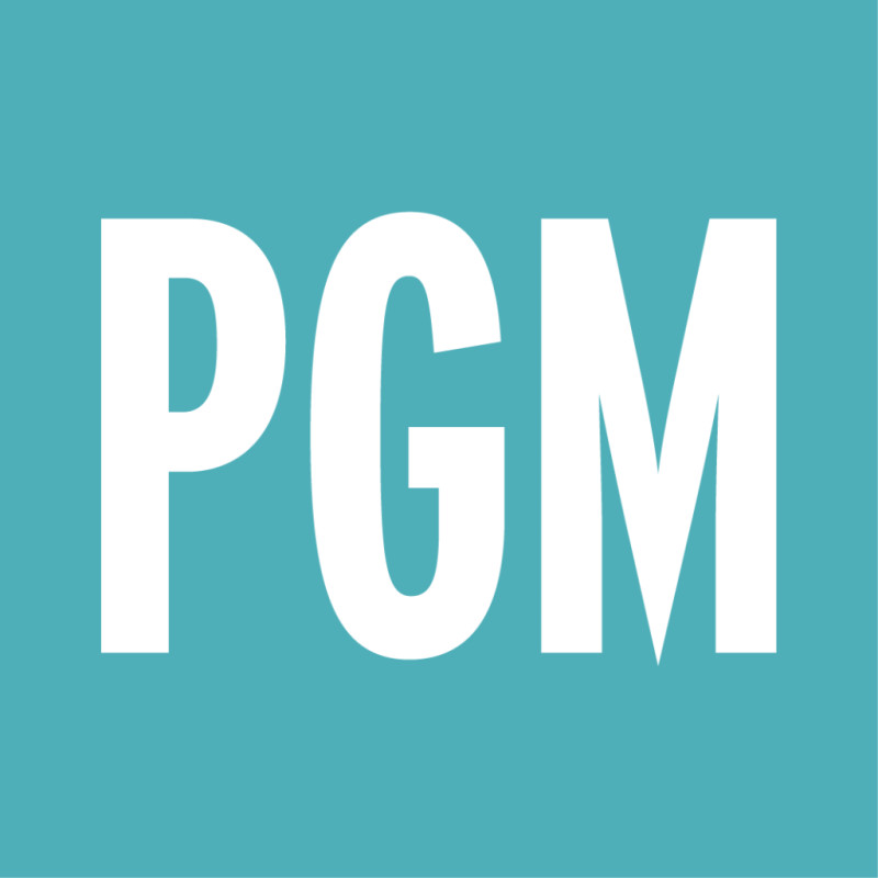 Profgmedia logo