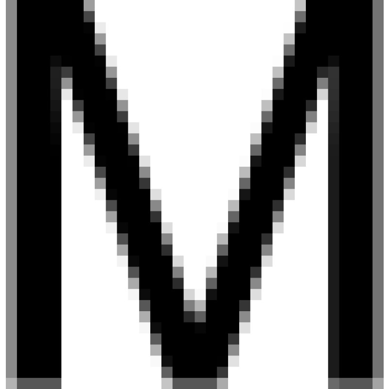 Max Mautner logo