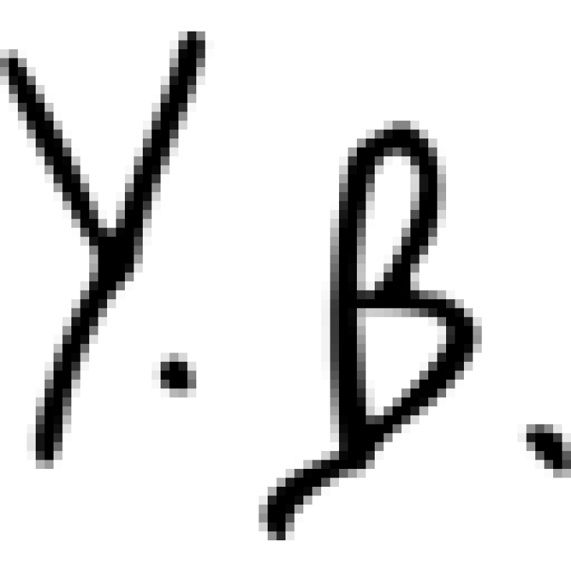 Yegor256 logo