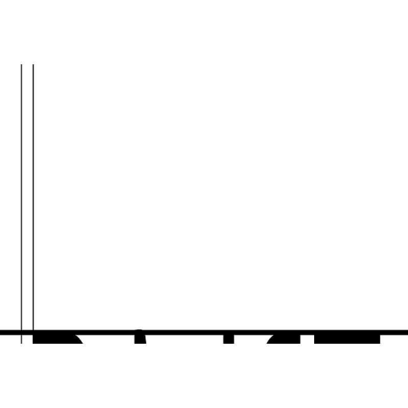 Domastroi logo