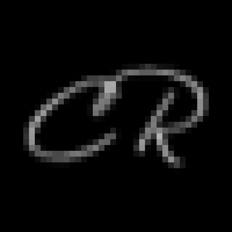 Carol Roth logo
