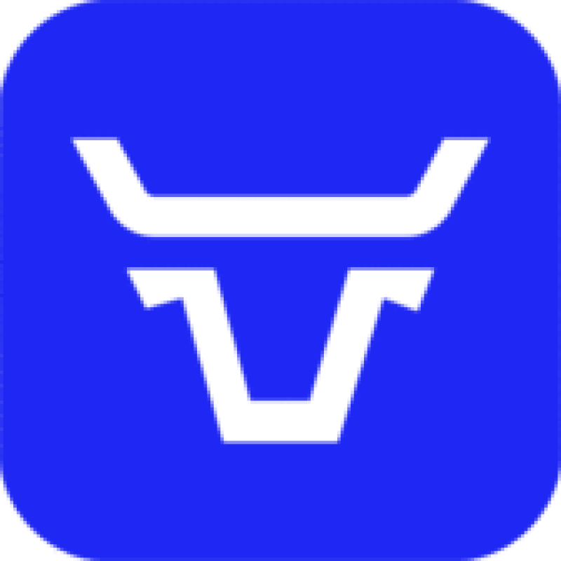 Bull Market Brokers logo