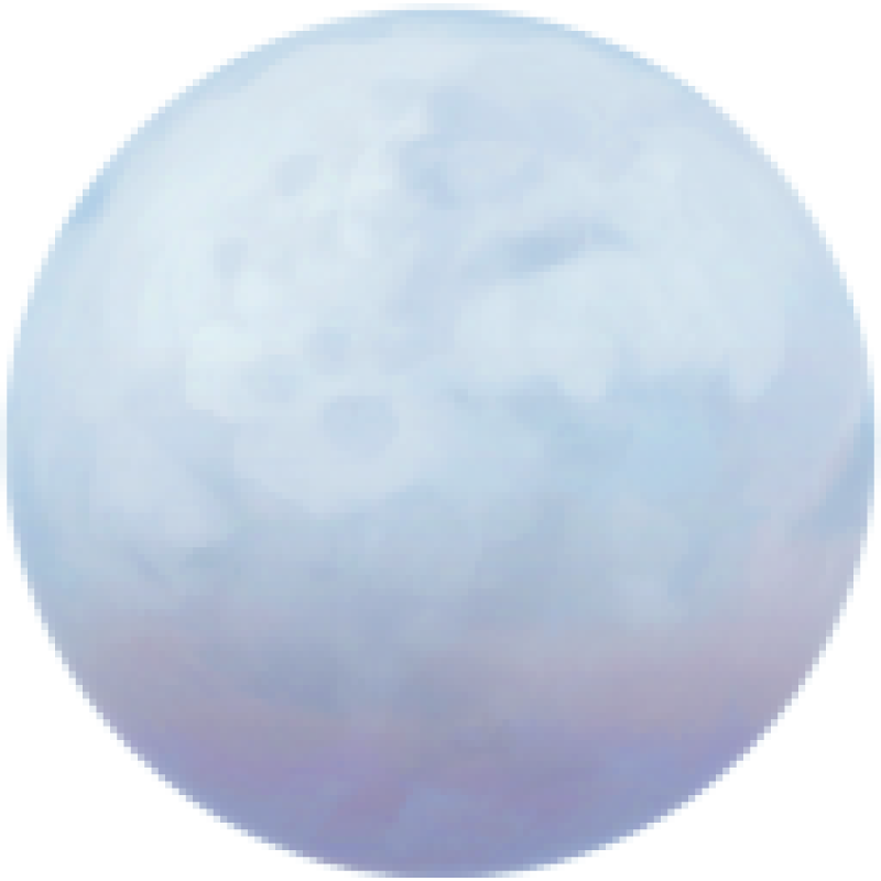 Palemoon