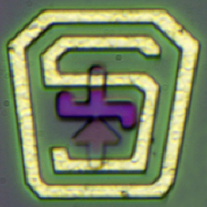 Richis Lab logo