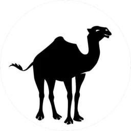 Foto163 logo
