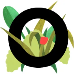 Outerbounds logo
