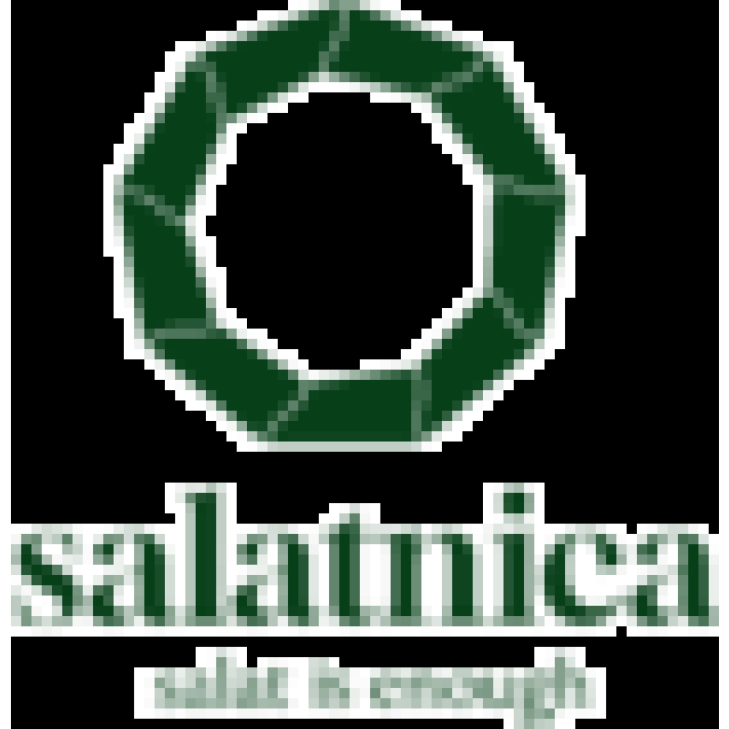 Salatnica logo