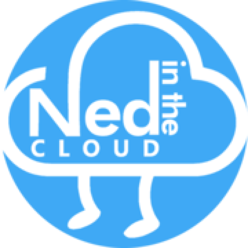 Ned In The Cloud logo