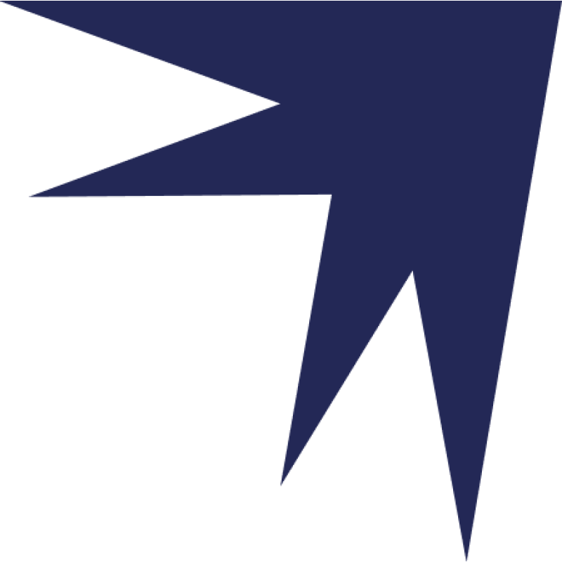 BigDataCorp logo