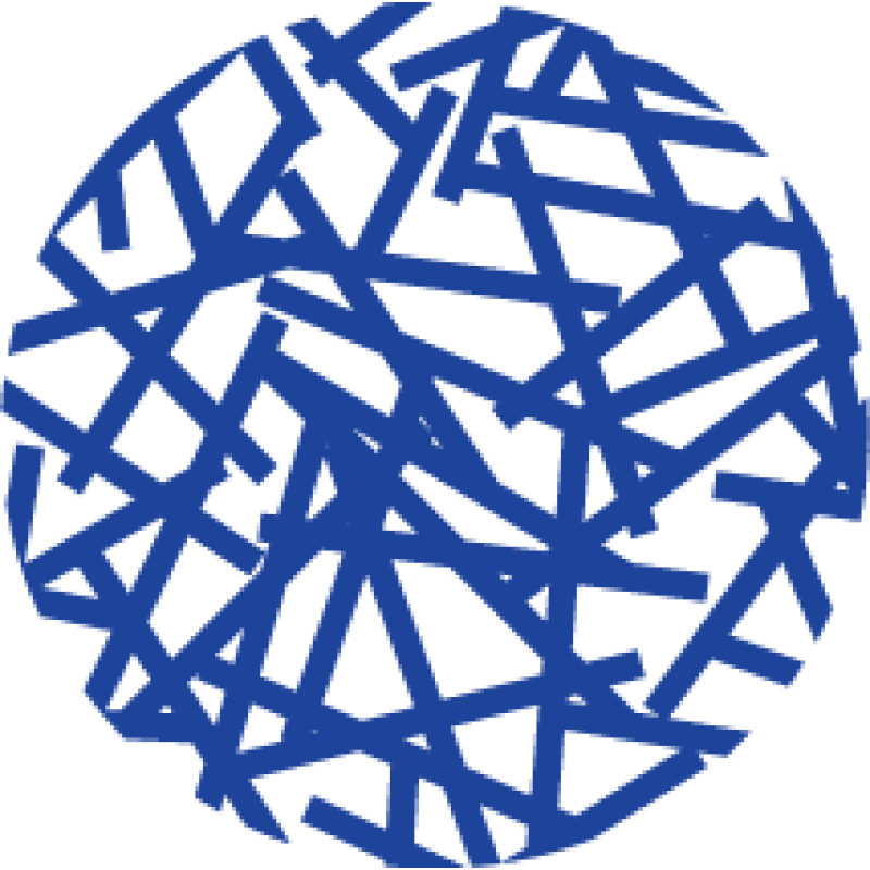 Camus Energy logo