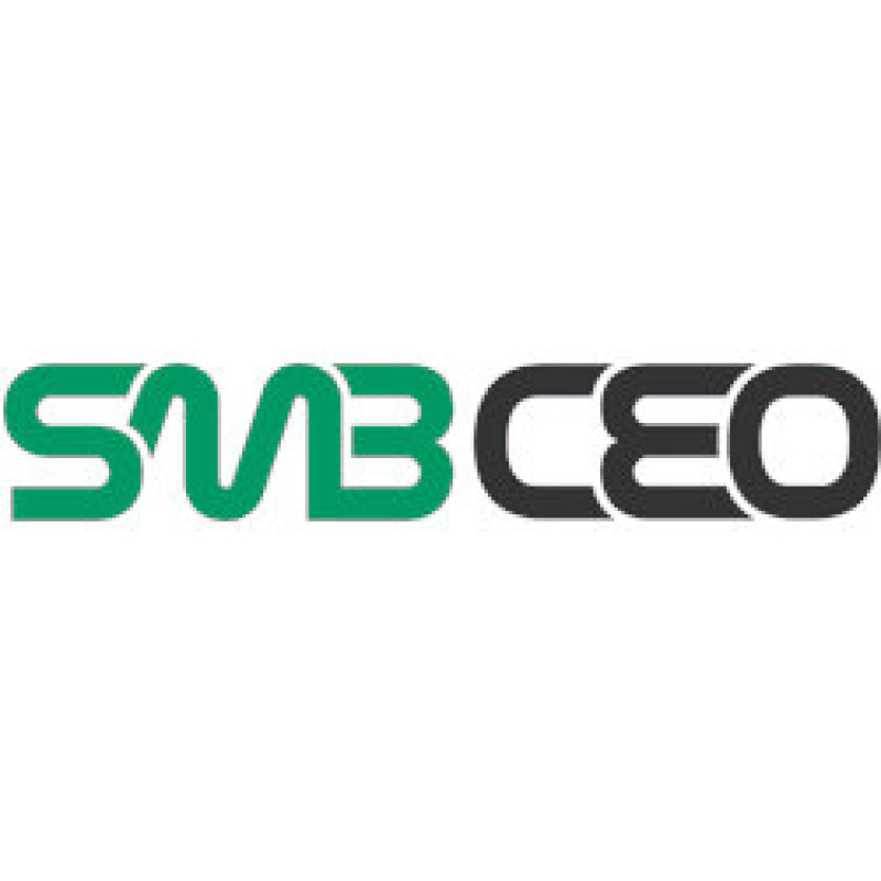 SMALL BUSINESS CEO logo