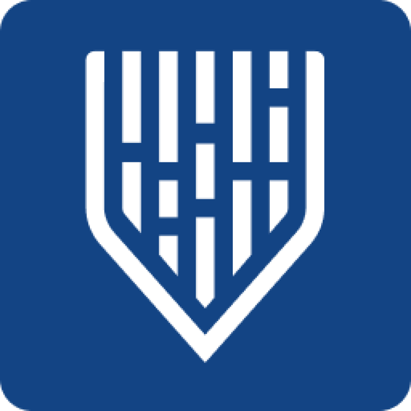 Mindgard logo